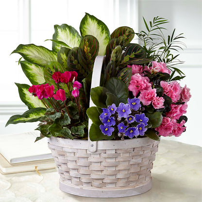 Peaceful Garden Planter –  Blooming Branches, Guttenberg IA