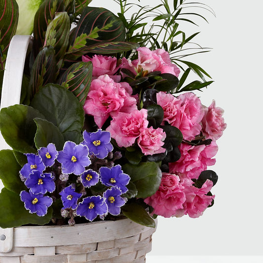 Peaceful Garden Planter –  Blooming Branches, Guttenberg IA