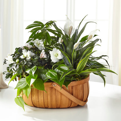 Serene Dishgarden –  Blooming Branches, Guttenberg IA