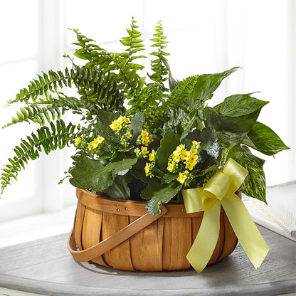 Always Dear Dishgarden –  Blooming Branches, Guttenberg IA