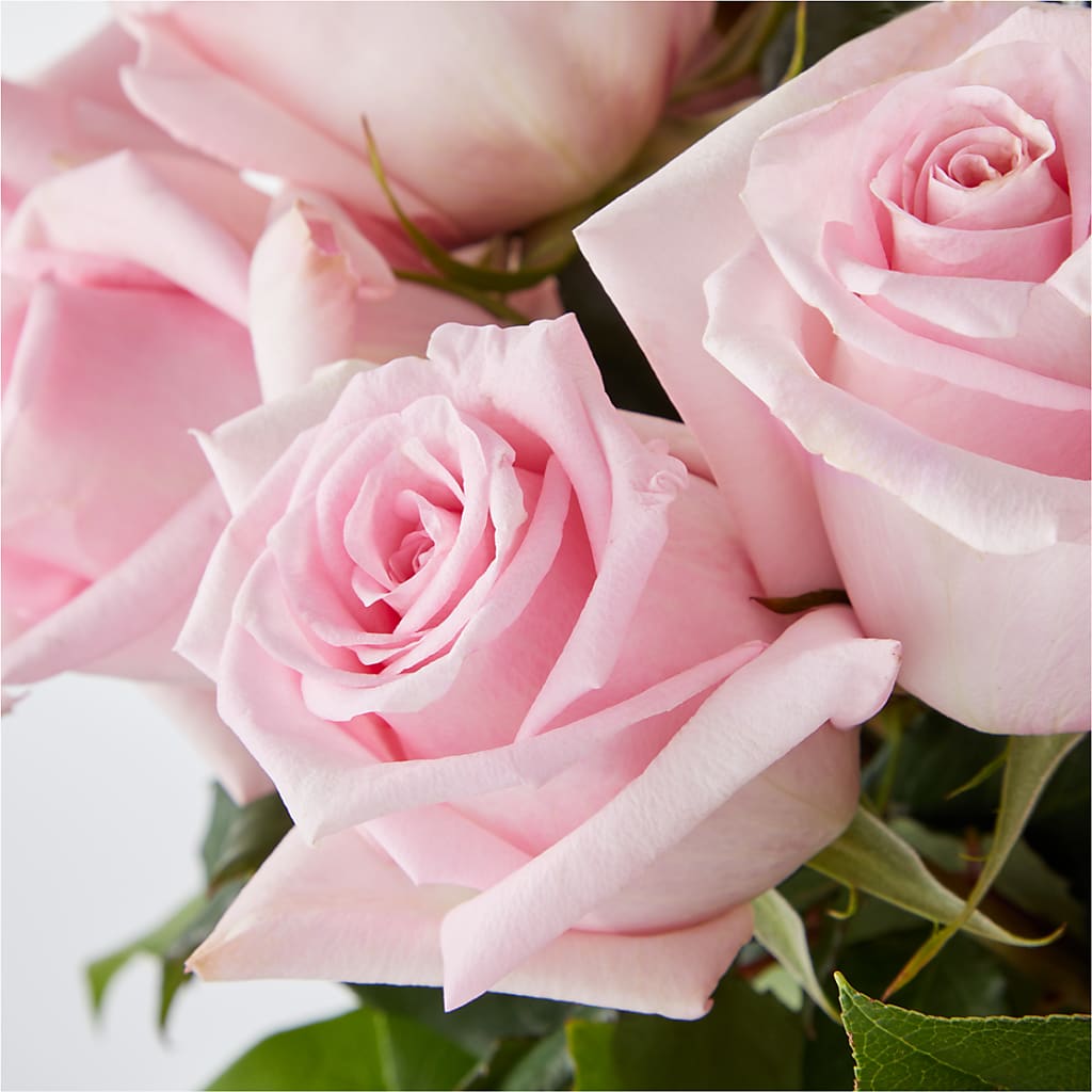 Picture Perfect Pink Rose Bouquet –  Blooming Branches, Guttenberg IA