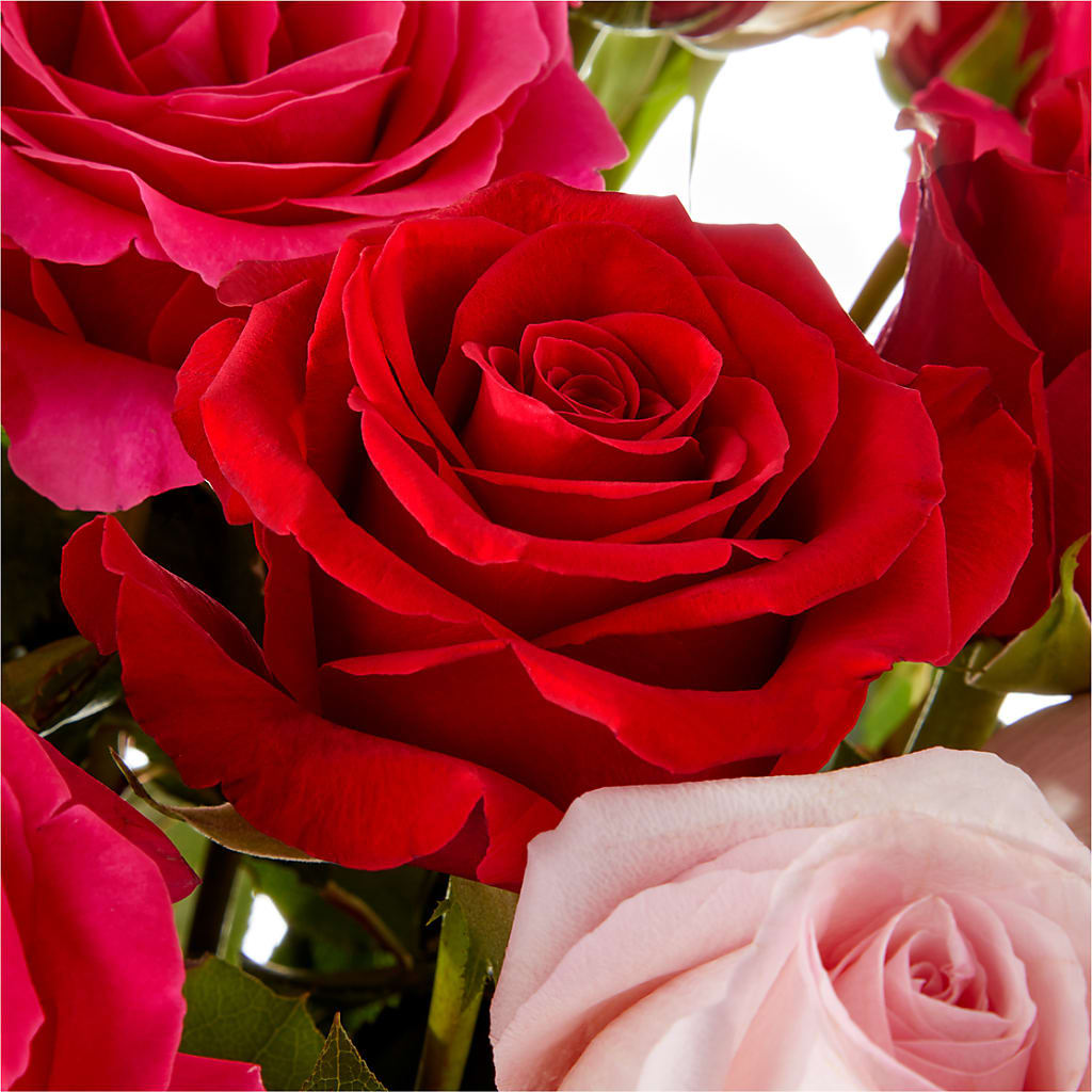 Love Notes Rose Bouquet –  Blooming Branches, Guttenberg IA