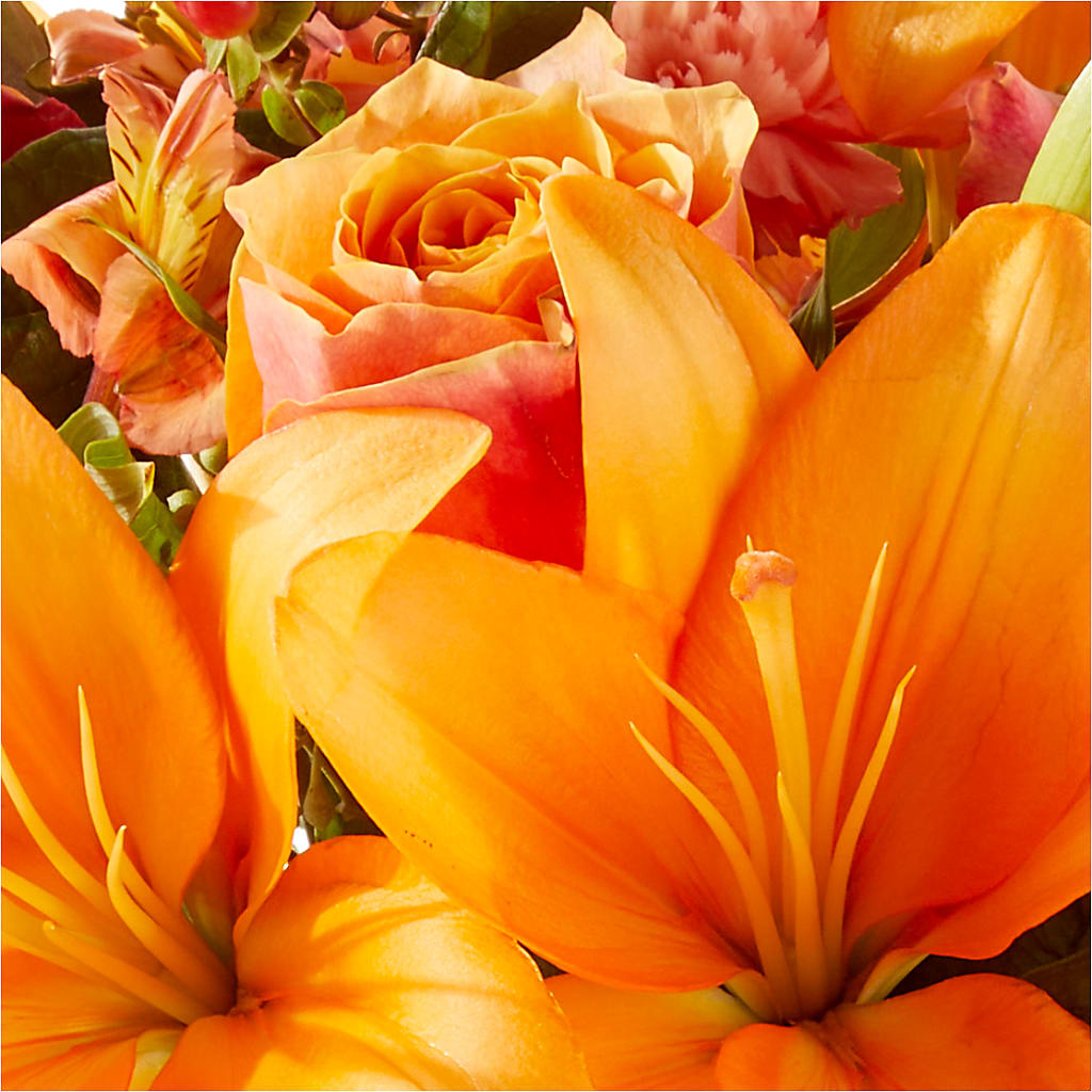 Afternoon Light Bouquet –  Blooming Branches, Guttenberg IA