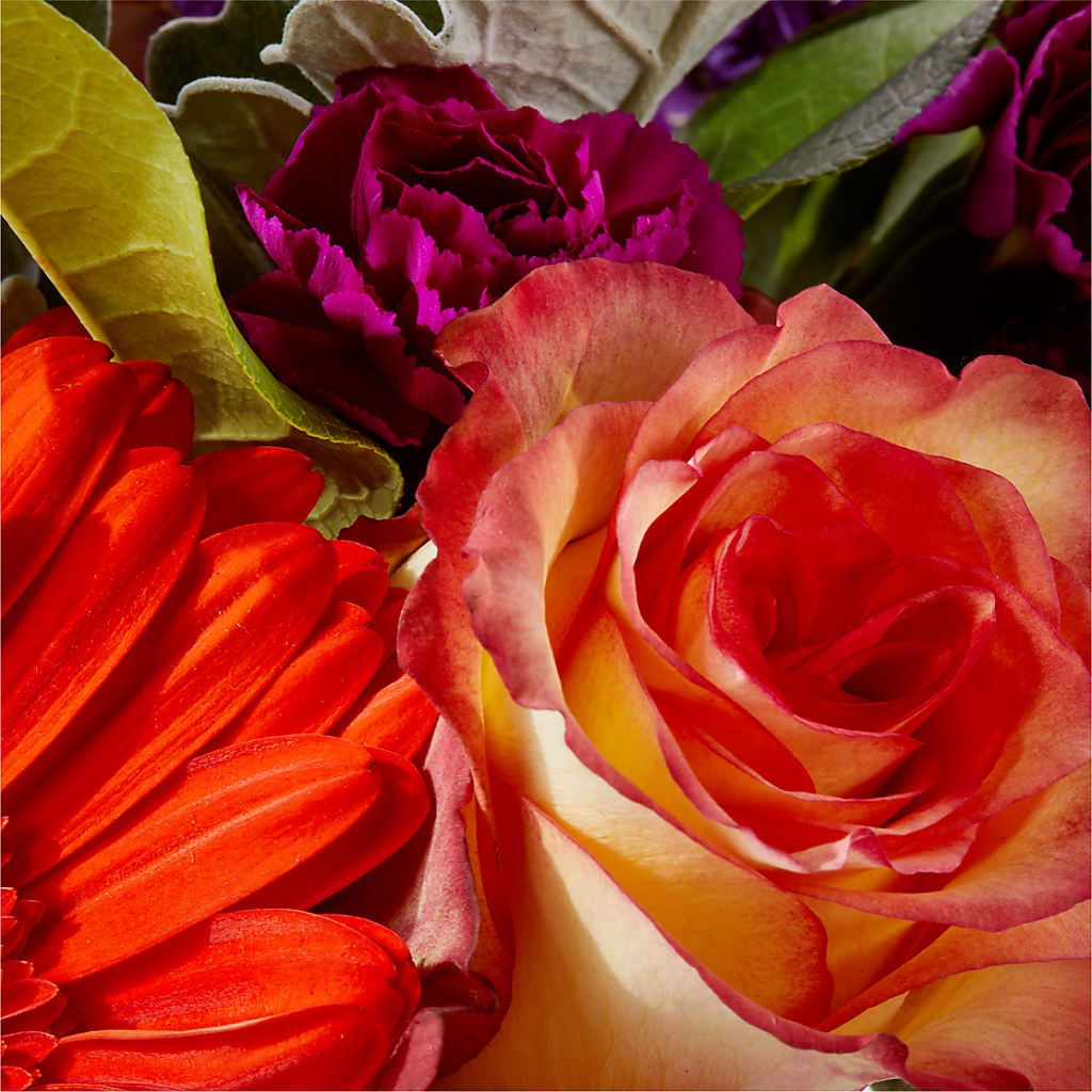 Sangria Bouquet –  Blooming Branches, Guttenberg IA