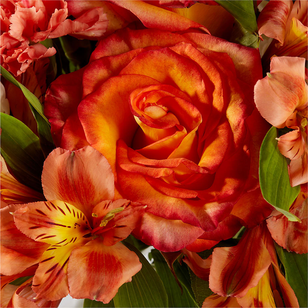 Apricot Glow Bouquet –  Blooming Branches, Guttenberg IA