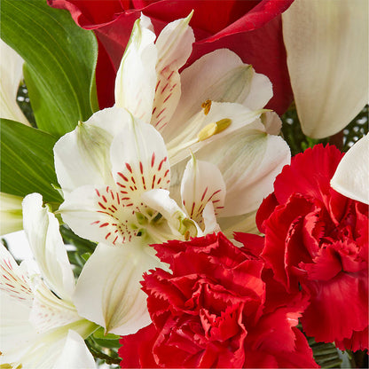 Holiday Season Bouquet –  Blooming Branches, Guttenberg IA