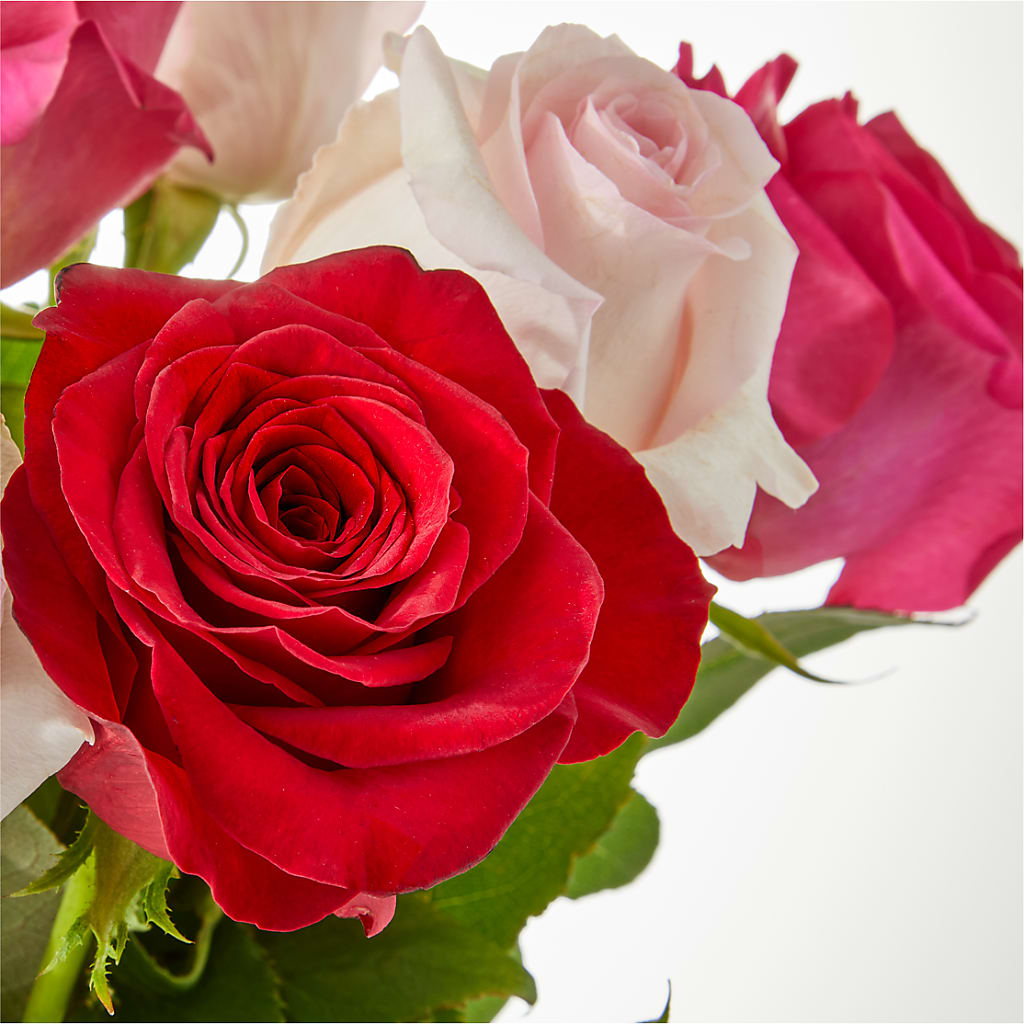 Charming Rose Bouquet –  Blooming Branches, Guttenberg IA