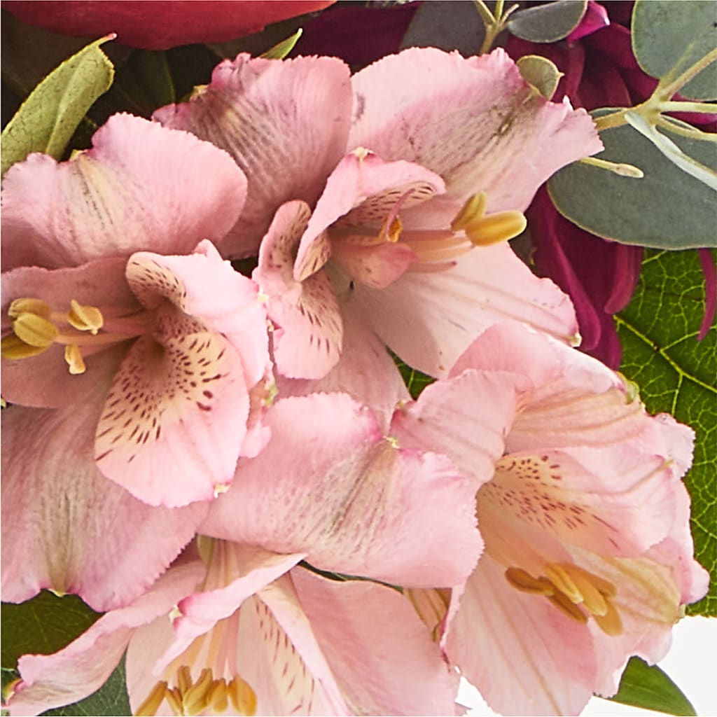 Berry Cobbler Bouquet –  Blooming Branches, Guttenberg IA