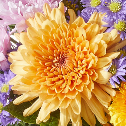 Countryside Bouquet –  Blooming Branches, Guttenberg IA