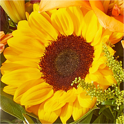 Seasons Change Bouquet –  Blooming Branches, Guttenberg IA