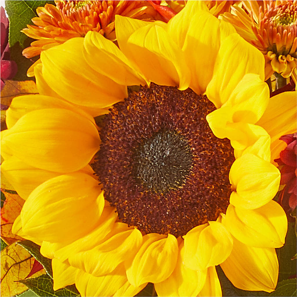 Sunny Side Bouquet –  Blooming Branches, Guttenberg IA