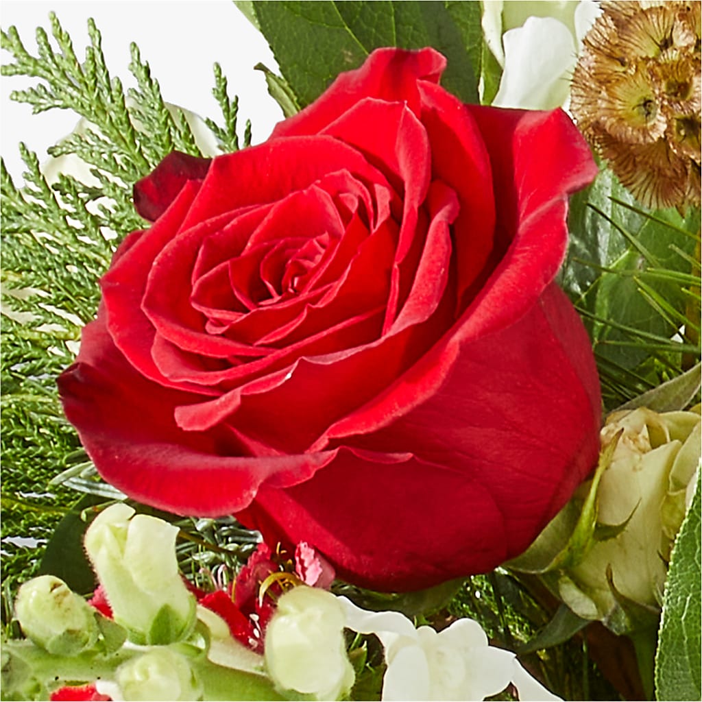Deck the Halls Bouquet –  Blooming Branches, Guttenberg IA