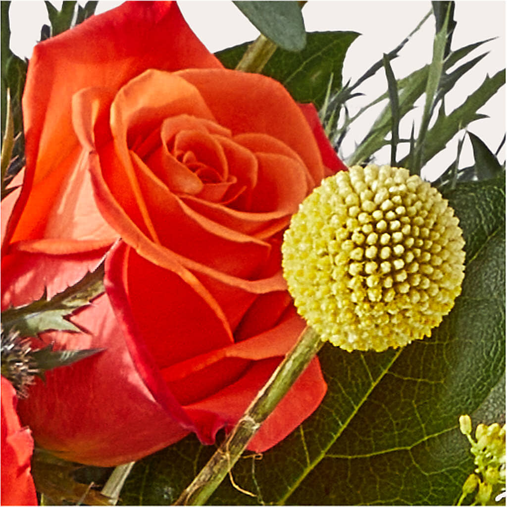 Disco Bouquet –  Blooming Branches, Guttenberg IA