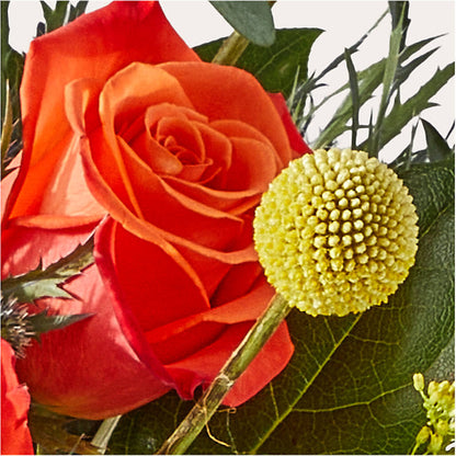 Disco Bouquet –  Blooming Branches, Guttenberg IA