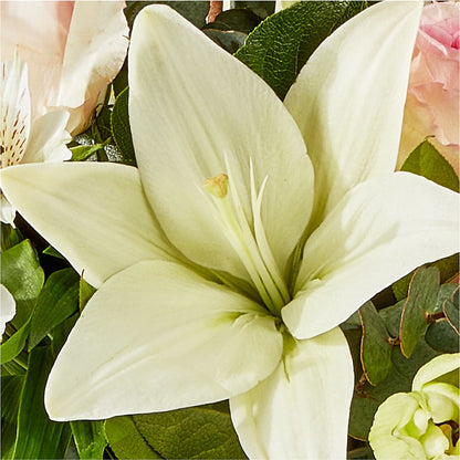 Ballet Slippers Bouquet –  Blooming Branches, Guttenberg IA