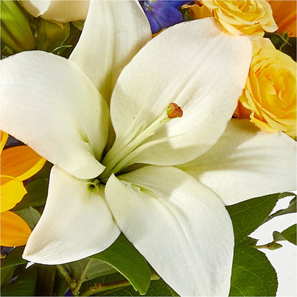 Wonderfully Sunny Bouquet –  Blooming Branches, Guttenberg IA