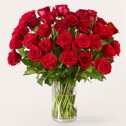 The One Red Rose Bouquet –  Blooming Branches, Guttenberg IA