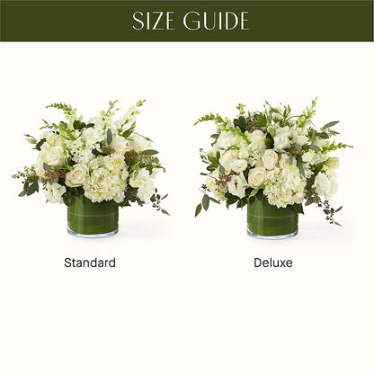 The Gallery –  Blooming Branches, Guttenberg IA
