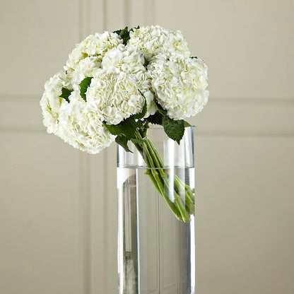 White Hydrangea Hand-Tied Bouquet –  Blooming Branches, Guttenberg IA