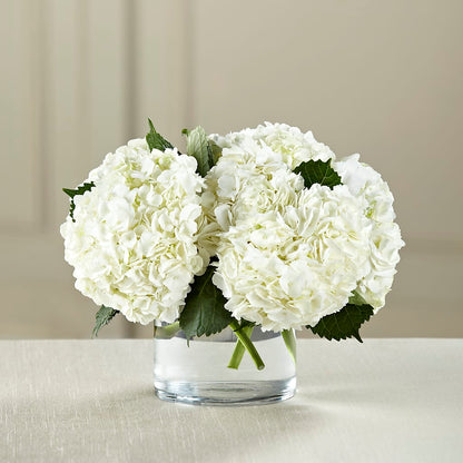 White Hydrangea Bouquet –  Blooming Branches, Guttenberg IA