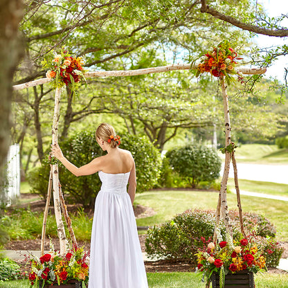 Arbor of Love Archway –  Blooming Branches, Guttenberg IA
