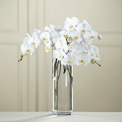 White Phalaenopsis Bouquet –  Blooming Branches, Guttenberg IA